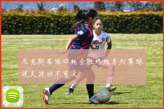 尼克斯客场四轮全胜终结系列赛球迷支持功不可没