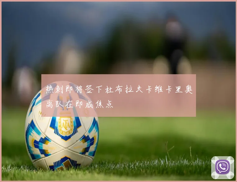 热刺即将签下杜布拉夫卡维卡里奥离队在即成焦点