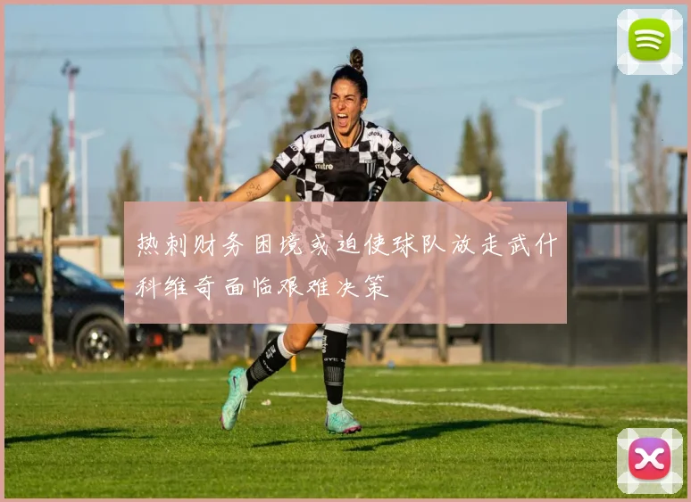 热刺财务困境或迫使球队放走武什科维奇面临艰难决策